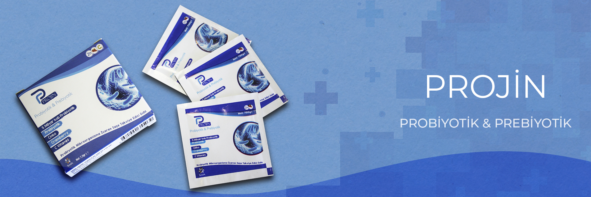 PROJİN